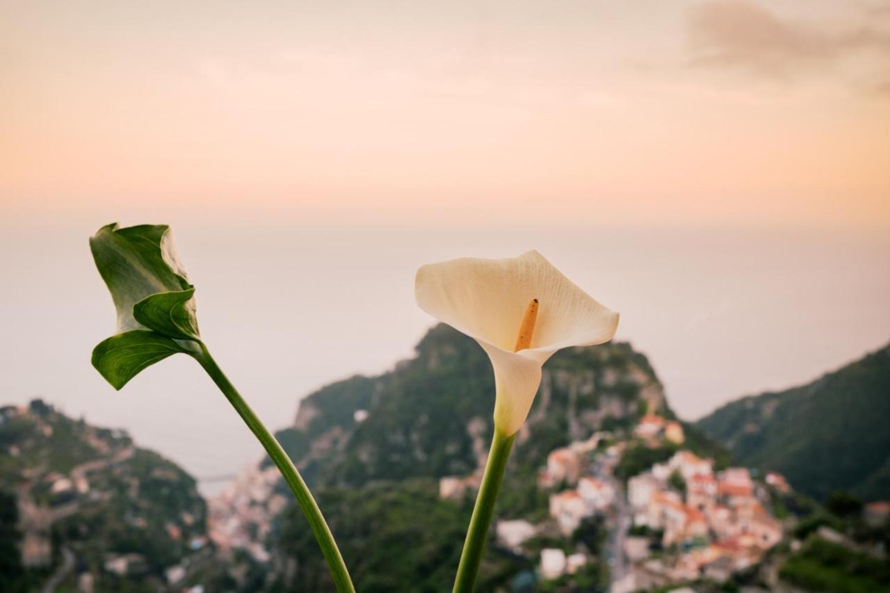 Casa Bellavista Scala Minuta Amalfi Coast Apartment ภายนอก รูปภาพ